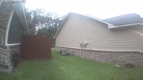 Hilarious video of a texas police discovering a 4-legged intruder