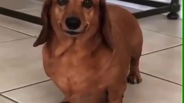 waiting for the food