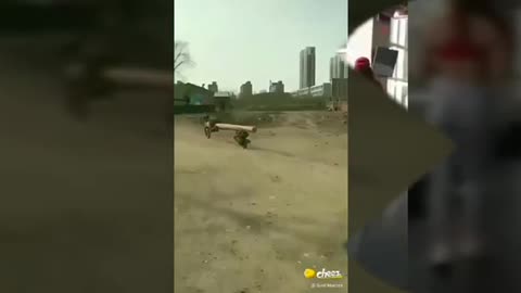 ENTERTAINMENT FUNNY VIDEO