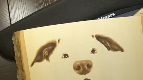 Draw a picture of a dog Ⅲ