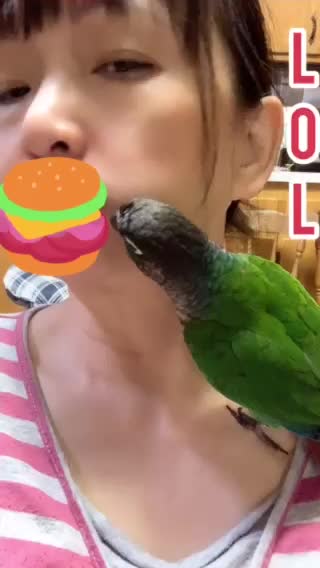 Parrot Begging For Food In My Mouth