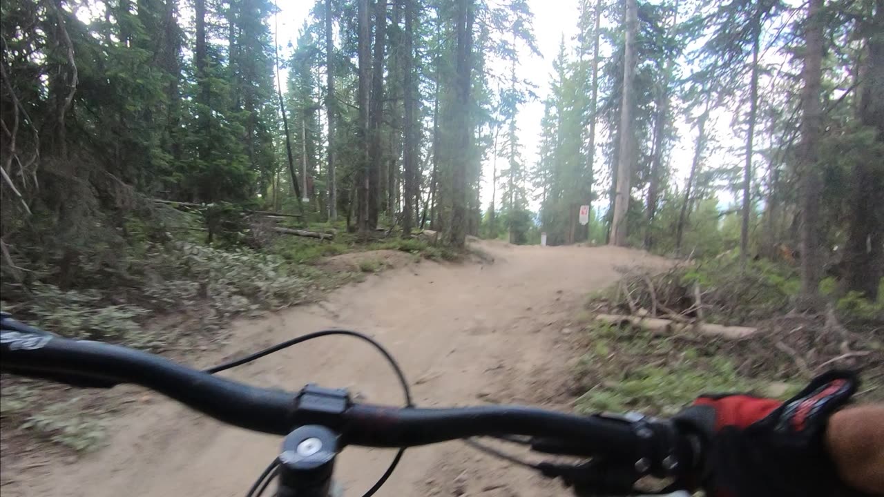 Downhill Biking – Mountain Biking - Trestle Bike Park – No Quarter – 07/13/24