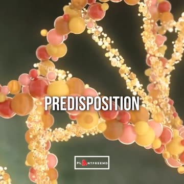 💥O AUTISMO ESTÁ RELACIONADO COM A ALIMENTAÇÃO?💥