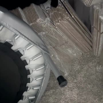 Adopting a Cat from a Shelter Vlog - Cute Precious Piper Shows Skill at Hiding in the Closet #shorts