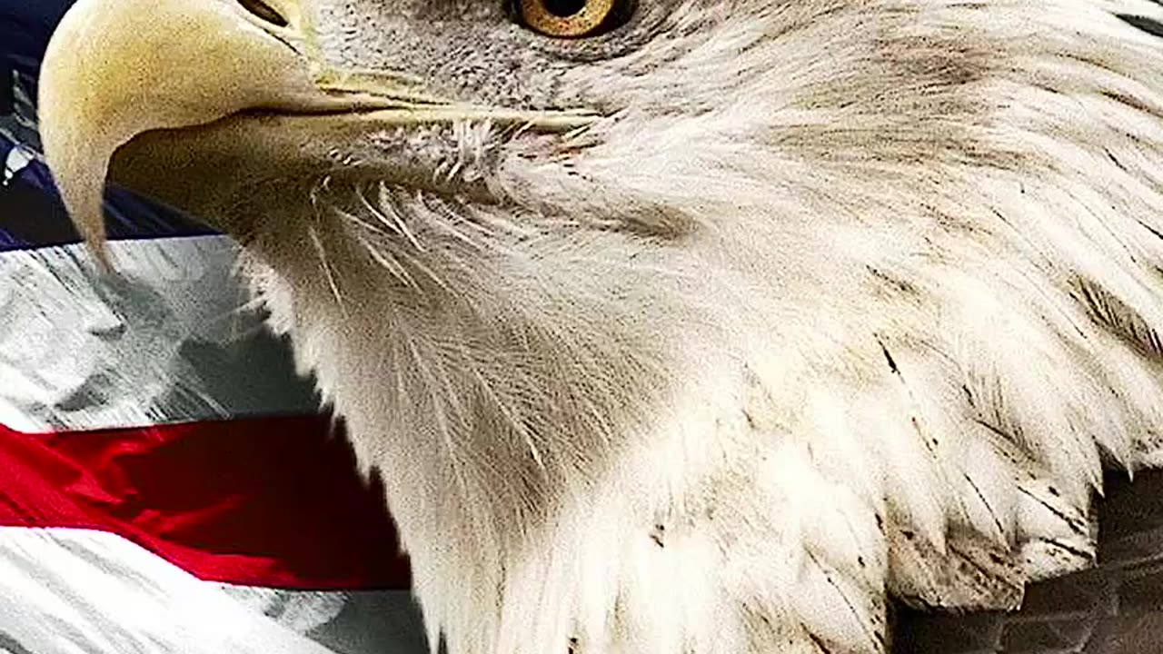 I’m answering your question by not answering your question..| Ultra MAGA