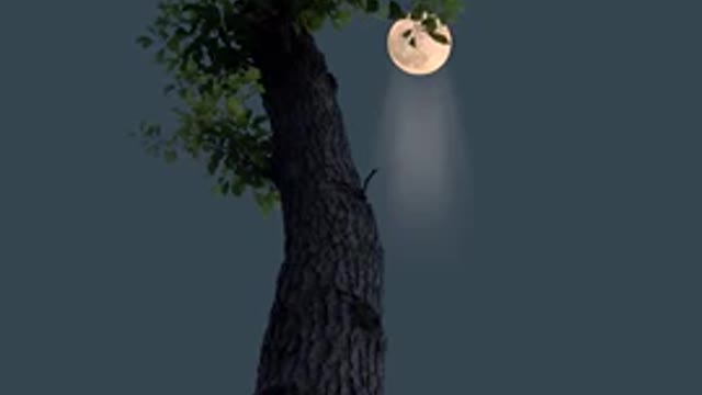 natural_4k_states_super_ cute_beautiful_moon_Short_amazing_excellent.