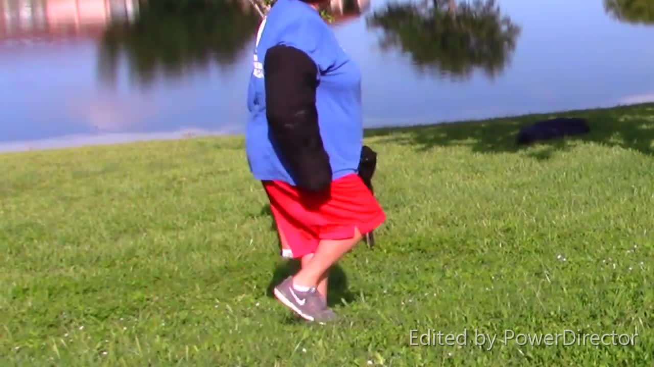 Teaching Protection Dogs to Bark at strangers in public in a few steps