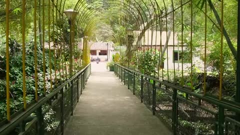 reabre el Jardín Botánico