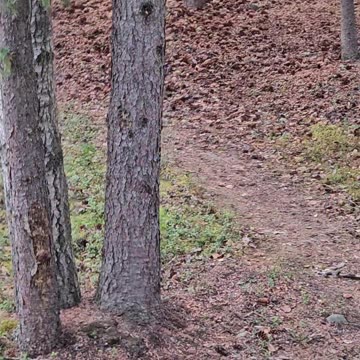 24 July Loaded up to leave Denali