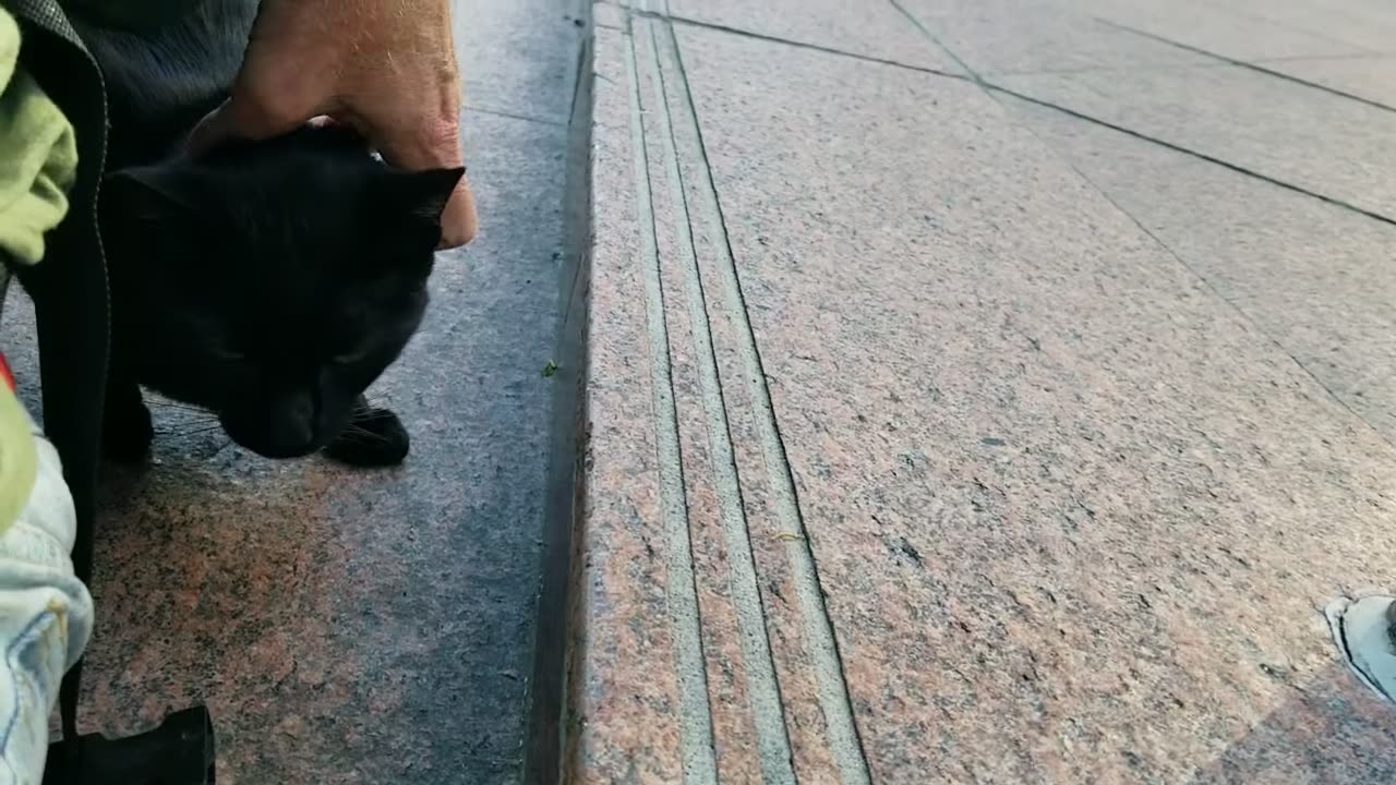 20240420 172559 Tux Molest