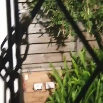 'Nite Nite Time South African Style'... Coming to a Neighborhood Near You