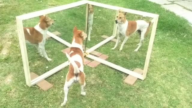 🤣🤣Mirror park block funny videos part 1, 🤣🤣 thank you for watching videos