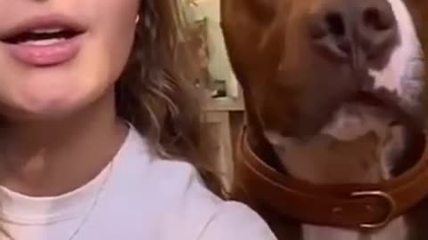 Cute dog kissing #trending #shorts