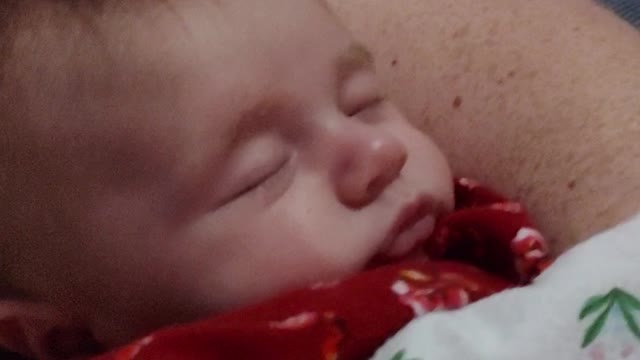 Lilly march 12th 2022