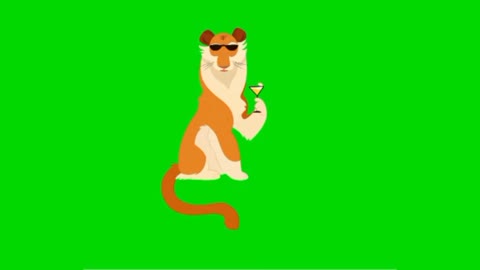 Lion happy green screen video