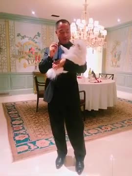 20180920文贵先生视频：工作了17个小时. Snow还不睡觉!要等着我狗情胜人味, 比那些伪类强多了!