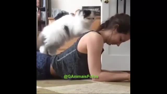 masseuse cat