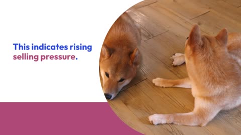 Shiba Inu (SHIB) Struggles to Recover as Selling Pressure Increases