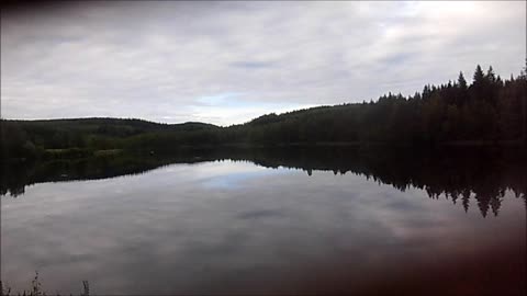 Samassa veneessä, uni 4 - Indy Angel