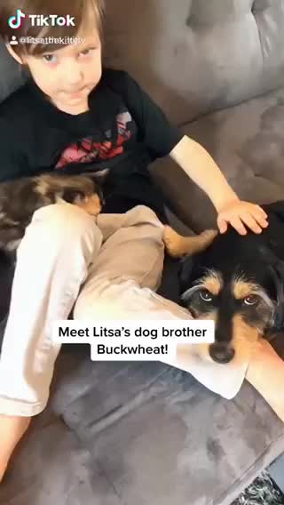 Dog gives his new kitty sister a kiss