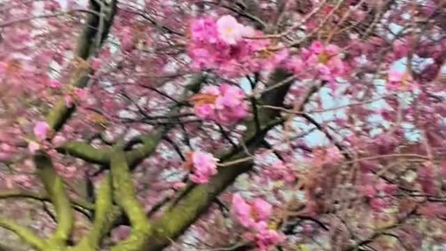 It's spring, and it's time to pursue something meaningful.