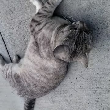 20240405 143902 Birthday Squirming