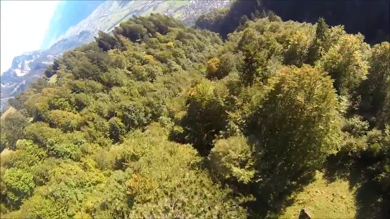 Wingsuit proximity flight through trees