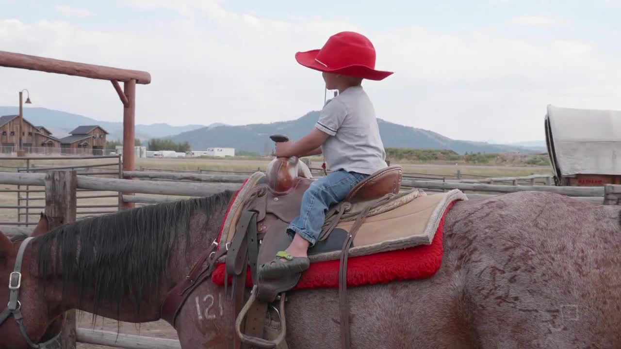 Slow Motion Shot Of A Cute Little Boy Riding A Beautiful Horse In Tall Grass