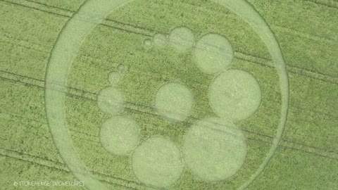 New Crop Circle June 28, 2021, Wiltshire