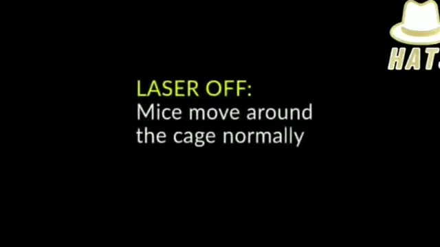 Mice can be made to kill by mind control lasers