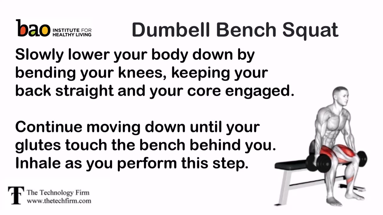 exercise - Dumbell Bench Squat