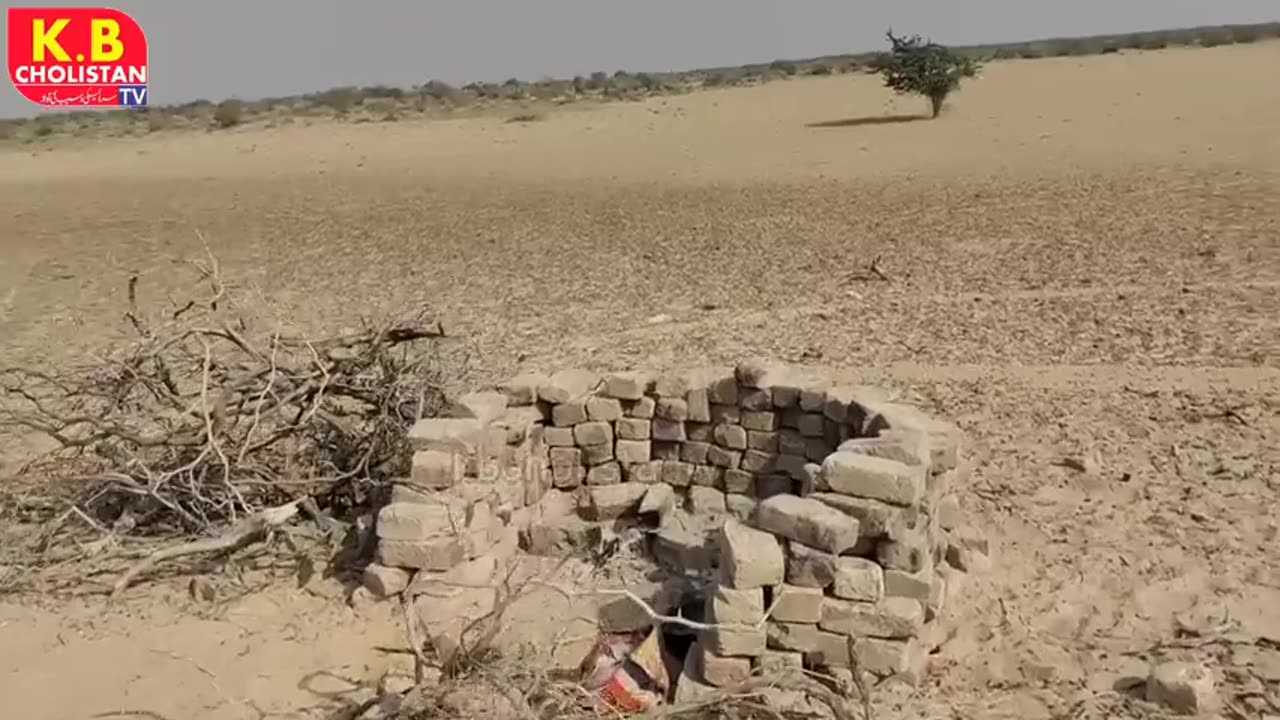 Village Life Rohi Cholistan || In ia Pakistan Border Area |