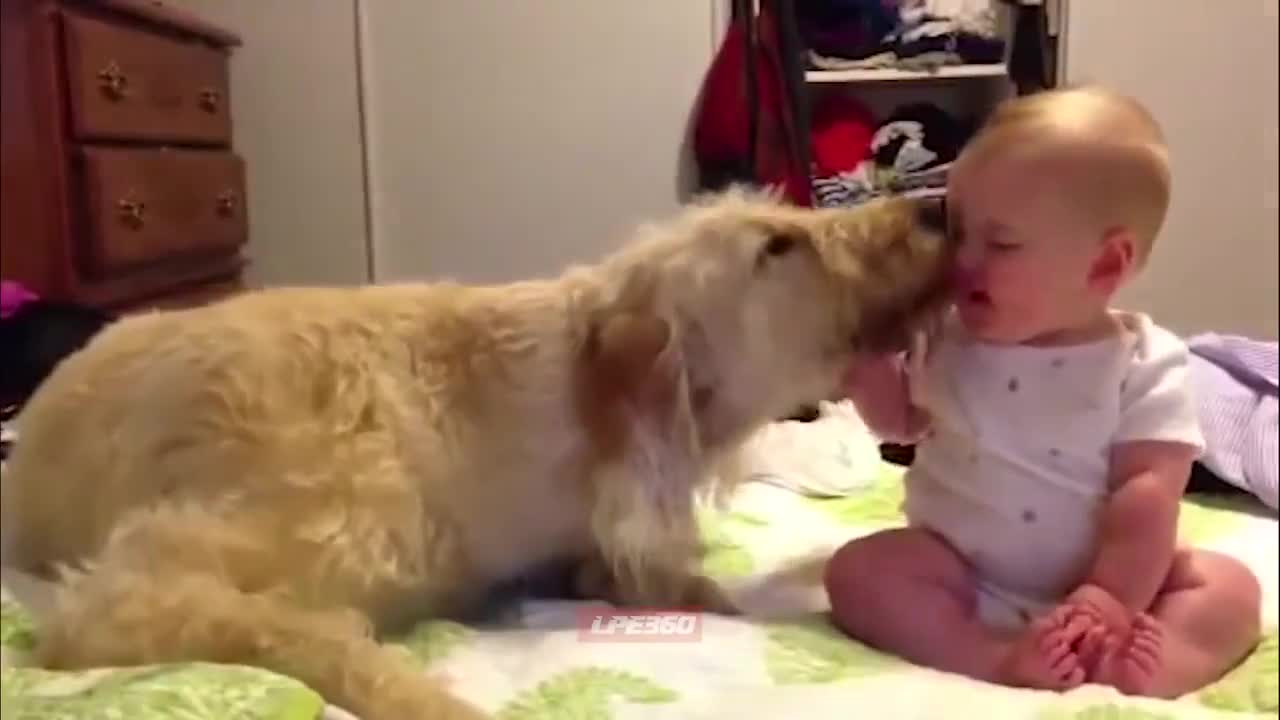 cute baby funny video for you