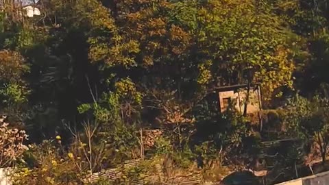 Neelam Valley Azad Jammu & Kashmir Watch In HD Urdu/Hindi