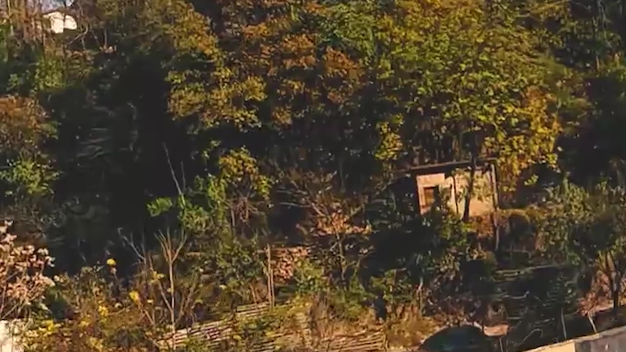 Neelam Valley Azad Jammu & Kashmir Watch In HD Urdu/Hindi