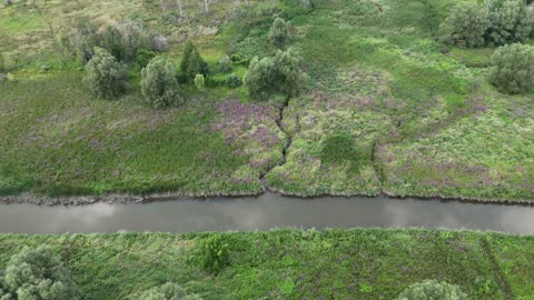 DJI Mini 4 Pro - ND16 Lens Preview