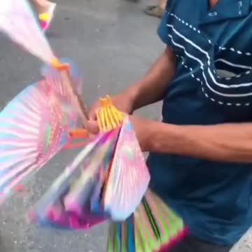 Unseen Bird flying before