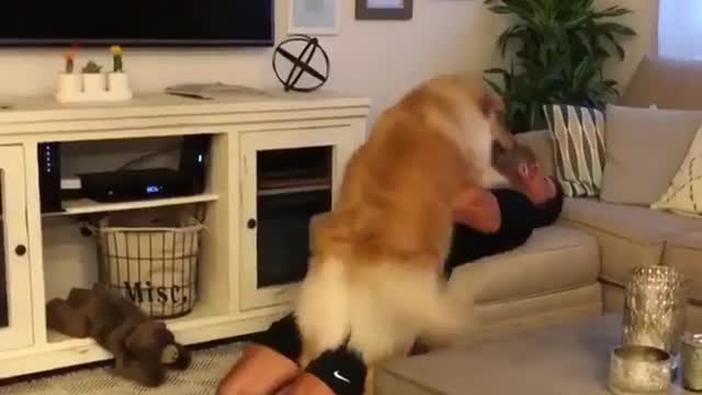 Have a good laugh and your pet will be yours