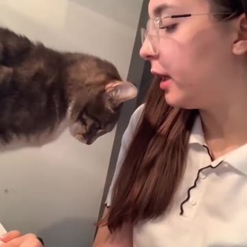 Mom Surprises Cat with Retaliation Bite