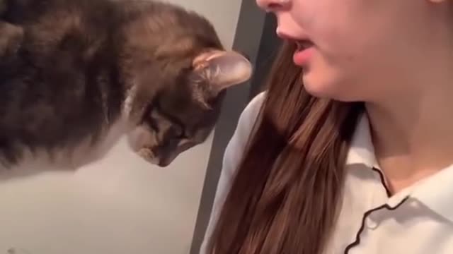 Mom Surprises Cat with Retaliation Bite