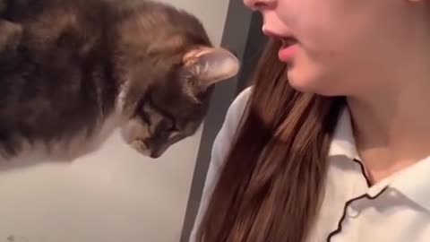 Mom Surprises Cat with Retaliation Bite