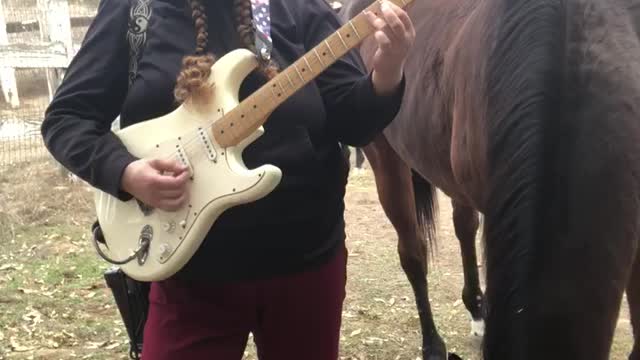 Becca Murder - Horses of the Apocalypse
