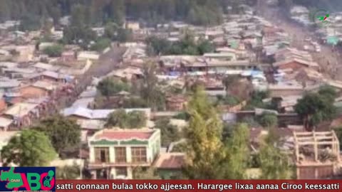 Oduu Waaree ONM-ABO Amajjii 2, 2024
