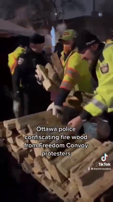 🇨🇦🚨 Trudeau's minions stealing firewood in Ottawa, Canada 😡