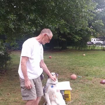 Ruff Cut PodCast: Raised Platform and Balance Beam part 1 section 3