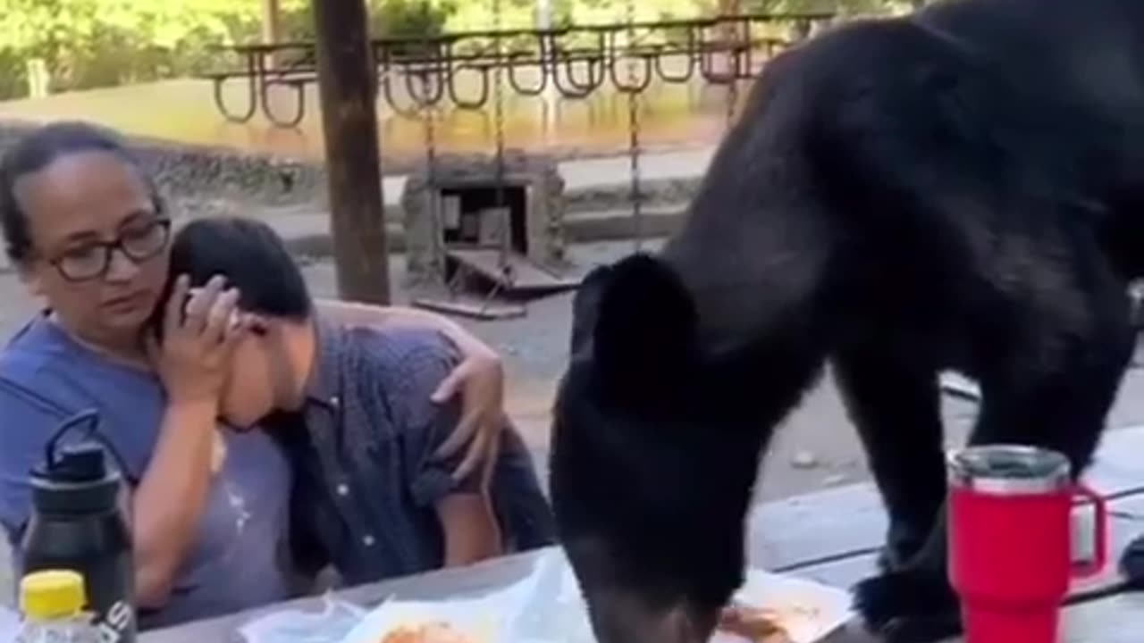 What would you do in this situation.