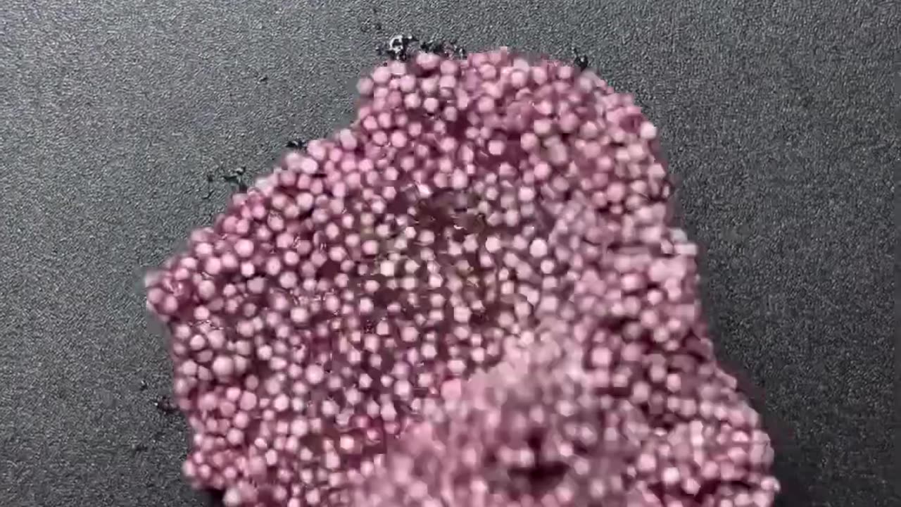 Satisfying video