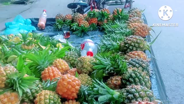 How To Cut a Pineapple Easily ‖ Amazing Skill