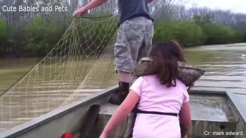 Funny animals charging and scaring people