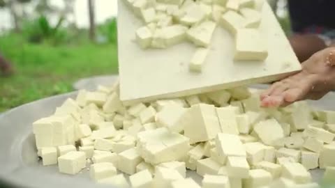 MAKING PANEER | Homemade Paneer making in Village | Traditional Paneer Butter Masala Gravy Recipe